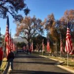 Avenue of Flags